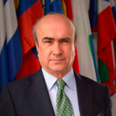 Sr. D. Mariano Jabonero